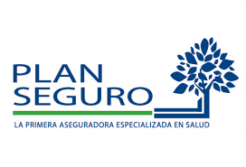 LOGO PLAN SEGURO